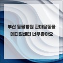큰마음동물메디컬센터 | 부산 동물병원 큰마음동물메디컬센터 너무좋아요