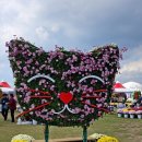 강경젓갈축제 25년 성대한 축제 발효식품축제 논산축제 관촉사 반야사 볼거리 옥녀봉 논산 여행 이미지