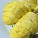 한마음산업 | 명절에 가본 제천역전한마음시장🙇‍♀️ 로컬감성+시장먹거리 맛집 가득!! + 제천국제한방천연물산업엑스포