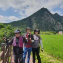 월류봉 둘레길 완정교 화장실 | 월류봉 둘레길 (월류봉광장~완정교~우매리~반야사) / 월류봉민물식당 생선국수, 도리뱅뱅 / 영동...