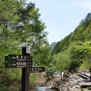 문경 황장산에서 영봉들을 본다(2016.05.05, 안생달-작은차갓재-멧등바위-황장산-감투봉-안생달) 이미지