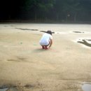 이리서초등학교 이미지