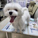 다산지금로 이미지