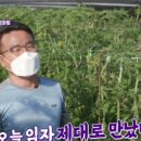 수암농장 이미지