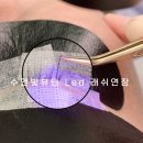 탄탄엘이디