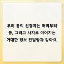 삼성탑신경외과의원 | 머리와 등 주변의 불편함이 전하는 일상의 메시지