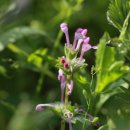 금사보건지소 이미지