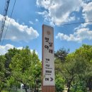 아침햇살 | 충주 햇살아래 캠핑장 다녀온 후기