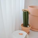 옹달샘분수 이미지