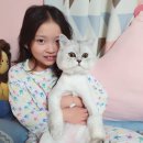 구사