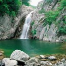 미시령계곡캠핑장 이미지