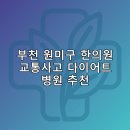 부천 원미구 한의원 교통사고 다이어트 체중관리 추나 난청이명 5곳후기 TOP5 저렴한곳
