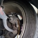 장일카센타 이미지