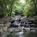 기성계곡 이미지