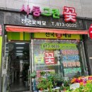 사동그린꽃 이미지