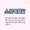 소올미술학원