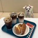 타이어메카 달서점 | 대구 달서구 월성동 애견동반카페 꼬모맨션 본점