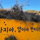 반려마루 동물병원 이미지