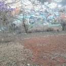 근덕초 동막분교장 이미지