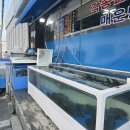 삼식이네 백반 | [당진] 깜상&amp;삼식이네 횟집 :: 식객 허영만의 백반기행 내돈내산 솔직 후기👋🏻