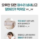 닥터제이 이미지