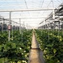 해천농장 이미지