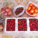 삼계화정약국 이미지