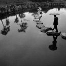 허브목장 이미지