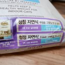 (주)홀썸 이미지