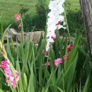 정남진휴랜드관광농원 이미지