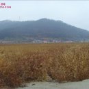 노화읍-4 이미지