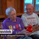 토마토PC방 이미지