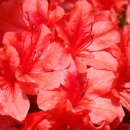 &#39;맛을 내며 살고싶습니다&#39;&#39;풍물연습 안내&#39;&#39;2009 인천부평풍물대축제...&#39; 이미지