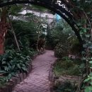 소나무 노래연습장 이미지