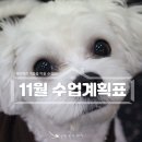 웬만해선 개들을 막을 수 없다 이미지