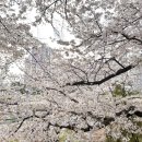 나무아래서(푸드트럭) 이미지