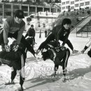 광주진흥고등학교 이미지