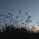 남악수변공원 이미지