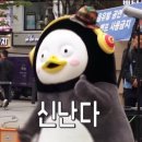 요기어때 술한잔
