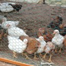 평산농장 이미지