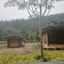 네버스탑트래블 이미지