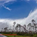 스카이안경 이미지