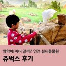 서창 | 인천 실내동물원 쥬벅스 서창 후기, 방학에 어디 갈까 고민될 때 인천 실내 가볼만한 곳