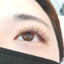 린블리뷰티 | 대구 상인동 속눈썹연장 강추 린블리뷰티 후기