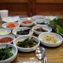 비발디 씨에스타2 이미지