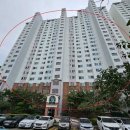 하단동115 이미지