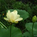 참샘골농원 이미지