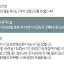 형제한의원 이미지