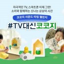 코코지나 지디넷코리아