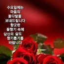 수요일 - 군산시 상지곡1길 14-6 | 수요일